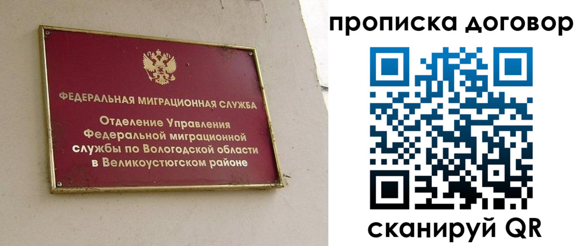 временная регистрация гарантия в Камышлове