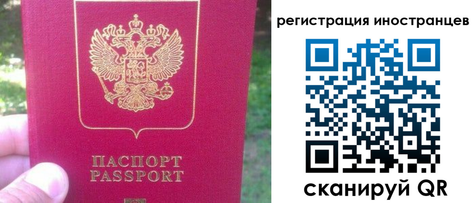 временная регистрация законно в Камышлове